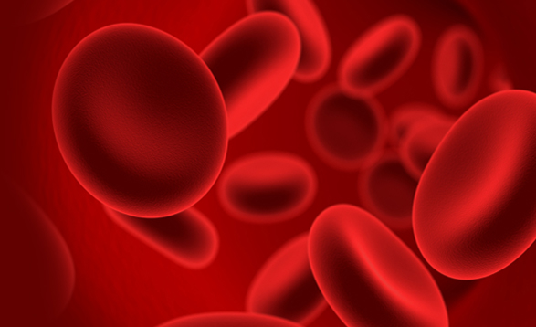 APPLICATION OF BIOLOGICAL MEDIATORS